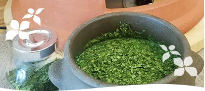 黄土モリンガ蒸しとは